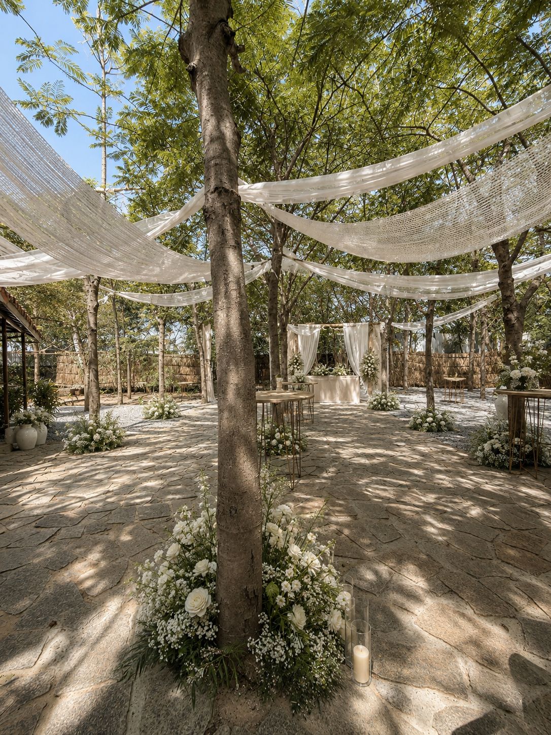 Orchid Tree wide view